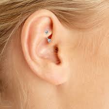 rook piercing